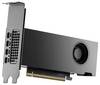 Nvidia Grafikkarte Nvidia RTX PRO 2000 Blackwell RTX PRO 2000 Blackwell 16 GB GDDR7-RAM PCIe x8 PCIe, Mini DisplayPort