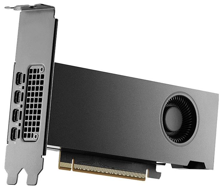Nvidia Grafikkarte Nvidia RTX PRO 2000 Blackwell 16 GB GDDR7-RAM PCIe x8 PCIe, Mini DisplayPort