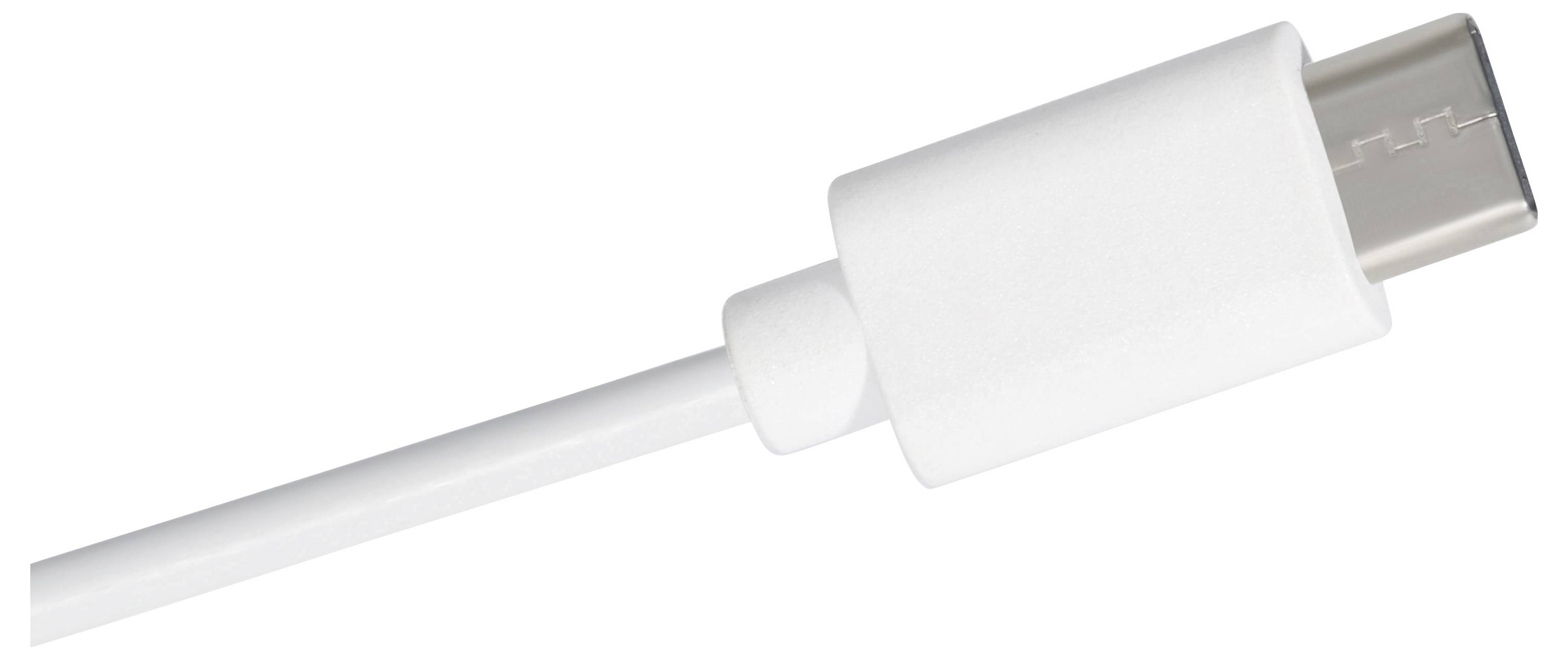 Eine Nahaufnahme eines weißen USB-C-Kabels, das das Steckerende zeigt, das oval geformt und leicht dicker als das Kabel selbst ist.