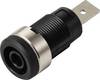 TRU COMPONENTS MP-32 schwarz Sicherheits-Einbaubuchse 4 mm NI F6,3 Schwarz 1 St. Bulk