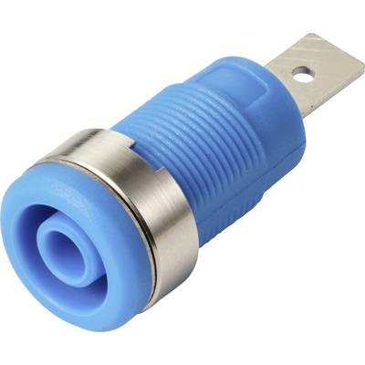 Ein blauer isolierter Verriegelungsstecker mit silberfarbenem Metallring, wahrscheinlich für die Elektroinstallation oder Schaltungstechnik verwendet, mit einer Schleifenöffnung am Ende.