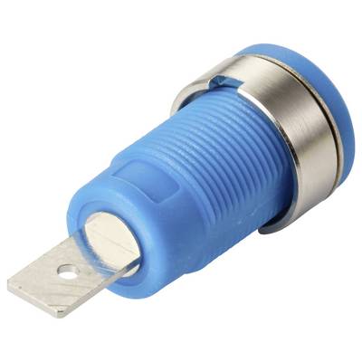 Eine Nahaufnahme eines blauen und metallischen Steckers einer elektrischen Komponente mit einer flachen Metallzunge zur Verbindung.