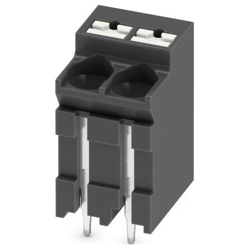 Phoenix Contact 1135346 Leiterplattenklemme Schwarz 100 St.