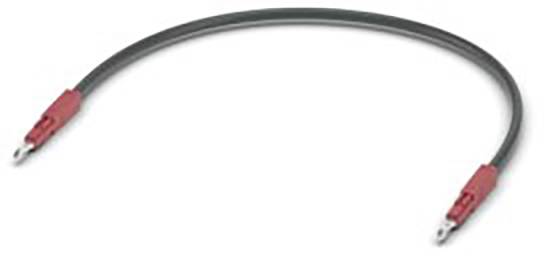 Ein geschlossenes schwarzes Kabel mit roten Steckern an beiden Enden, wahrscheinlich für elektronische Verbindungen verwendet.