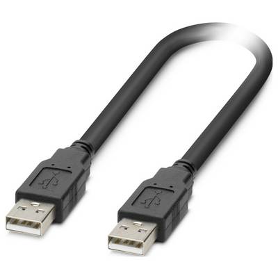 Ein schwarzes USB 2.0 Typ-A auf Typ-A Kabel mit zwei rechteckigen Steckverbindern.