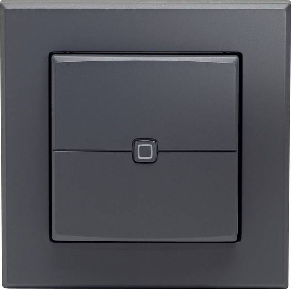 Homematic IP Funk Wandtaster   HmIP-WRC2-A-2