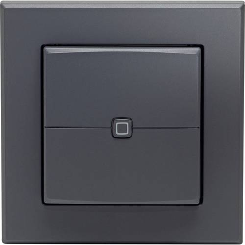 Homematic IP Wandtaster HmIP-WRC2-A-2