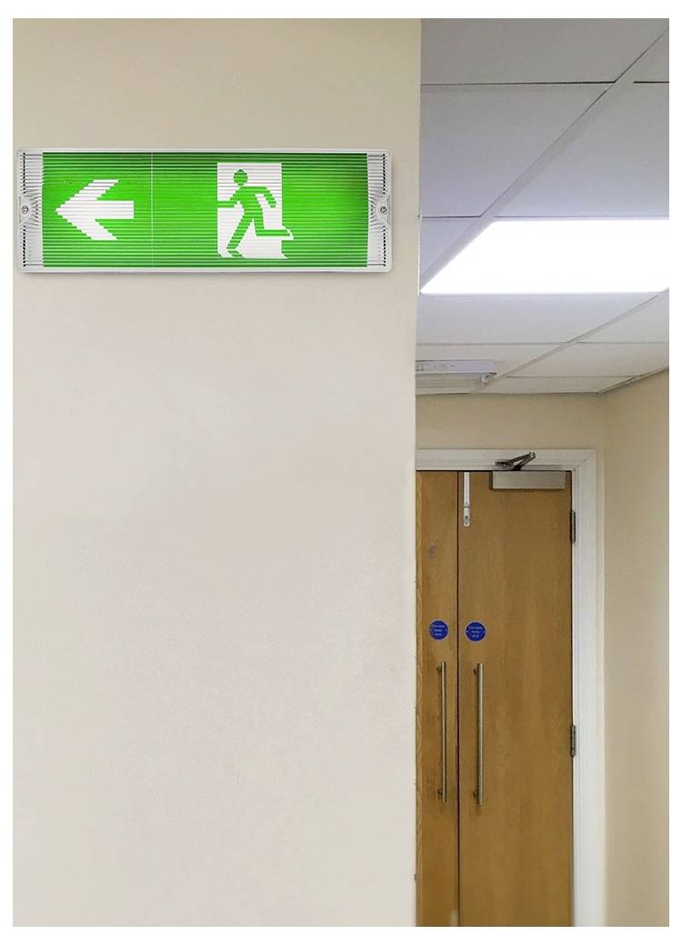 Grünes Notausgangsschild mit einem weißen Pfeil, der nach links zeigt, über einer braunen Doppeltür in einem Flur.