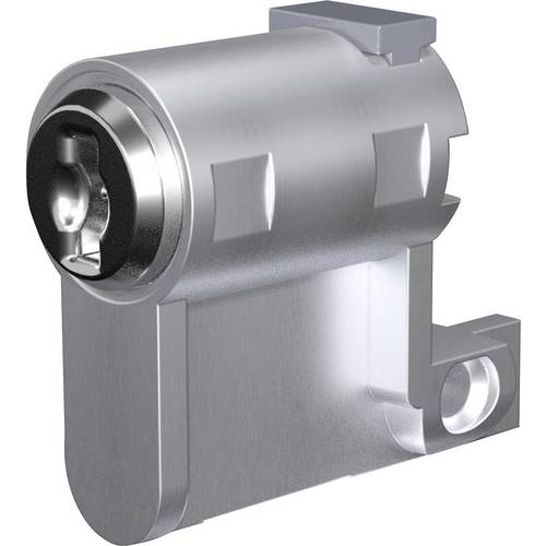 Rittal 2469100 Profilhalbzylinder 1 St.