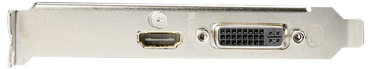 Ein Grafikkarten-Ausgabepanel mit einem HDMI-Anschluss links und einem DVI-Anschluss rechts.