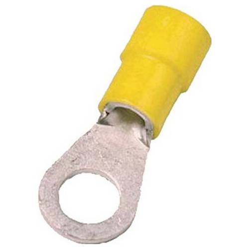 Intercable 180887 ICIQ2512 Quetschkabelschuh verzinnt M12 25 mm² 1 St.