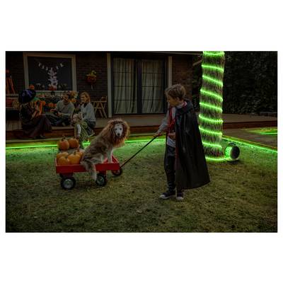 Ein Kind, als Vampir verkleidet, zieht einen roten Bollerwagen, in dem ein Hund sitzt, der als Löwe kostümiert ist. Menschen in Halloween-Kostümen versammeln sich in der Nähe.
