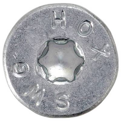 Nahaufnahme eines Metallschraubenkopfs mit Torx-Profil, sechszackigem Sternantrieb und gestempelten Markierungen am Rand.
