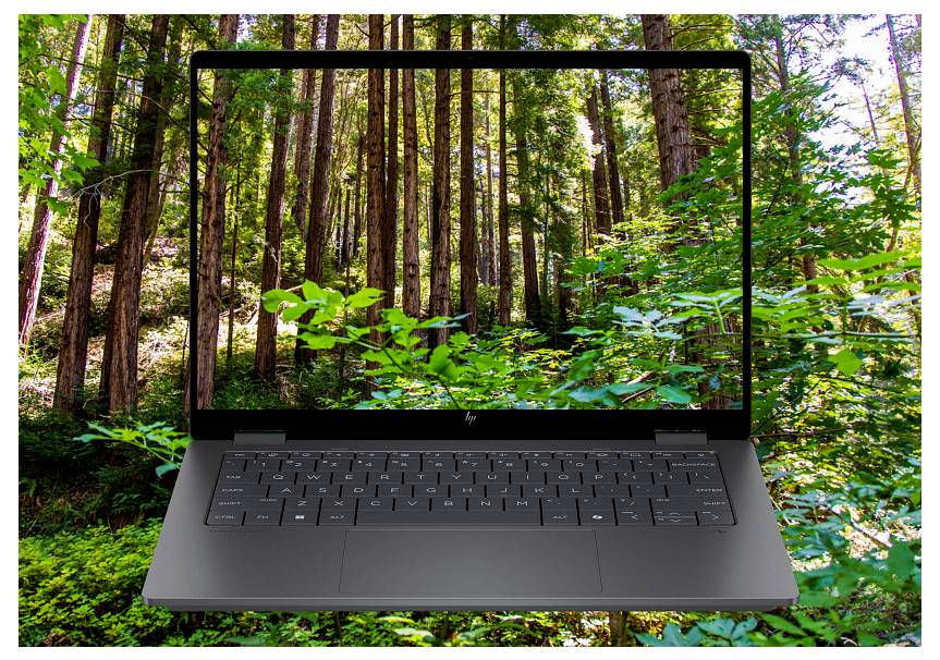 Ein Laptop mit einer Waldszene auf dem Bildschirm ist vor einer passenden Waldkulisse positioniert und erzeugt so eine nahtlose Naturansicht.