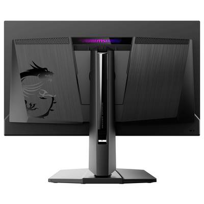 Ein schwarzer Computermonitor mit einem Drachen-Design auf der Rückseite, ausgestattet mit RGB-Beleuchtung und einem robusten Ständer. Das Markenlogo ist sichtbar.