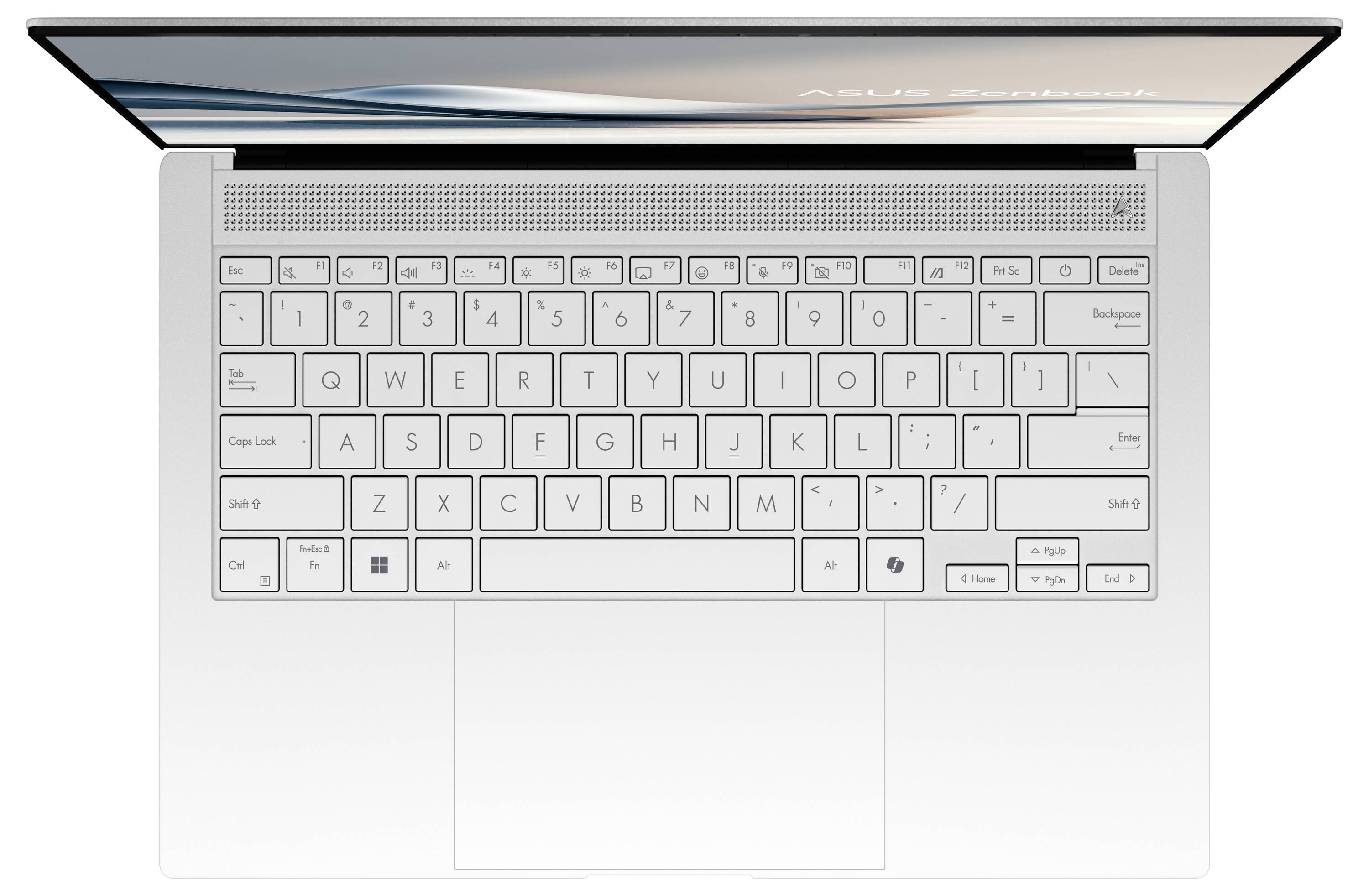Asus Notebook ZenBook S 14 35.6 cm (14 Zoll) WQXGA+ Intel® Core™ Ultra 7 (Series 2) 258V 32 GB RAM 1 TB SSD Deutsch, QWE-3