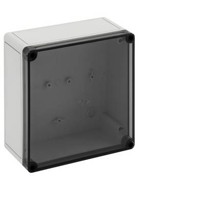 Quadratische graue elektrische Verteilerdose mit dunkelgetönter, durchscheinender Frontabdeckung und Schraubenbefestigungen an den Ecken auf weißem Hintergrund