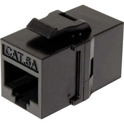 Black Cat 6A Keystone-Buchse mit Verriegelungslasche, verwendet für Netzwerkverbindungen.