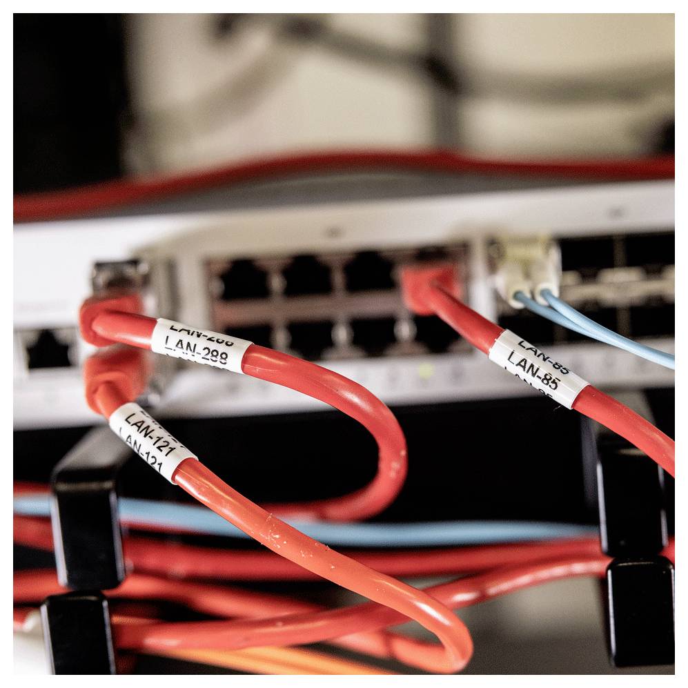 Ethernet-Kabel mit den Bezeichnungen „LAN-127", „LAN-298" und „LAN-85" sind mit einem Netzwerk-Switch verbunden und schaffen ein organisiertes Netzwerk-Setup.
