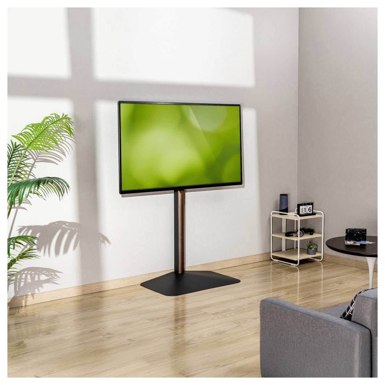 Ein modernes Wohnzimmer mit einem großen Flachbildfernseher auf einem Ständer, einer grünen Pflanze, einer kleinen Regaleeinheit mit einer Uhr und einem Teil eines grauen Sofas.
