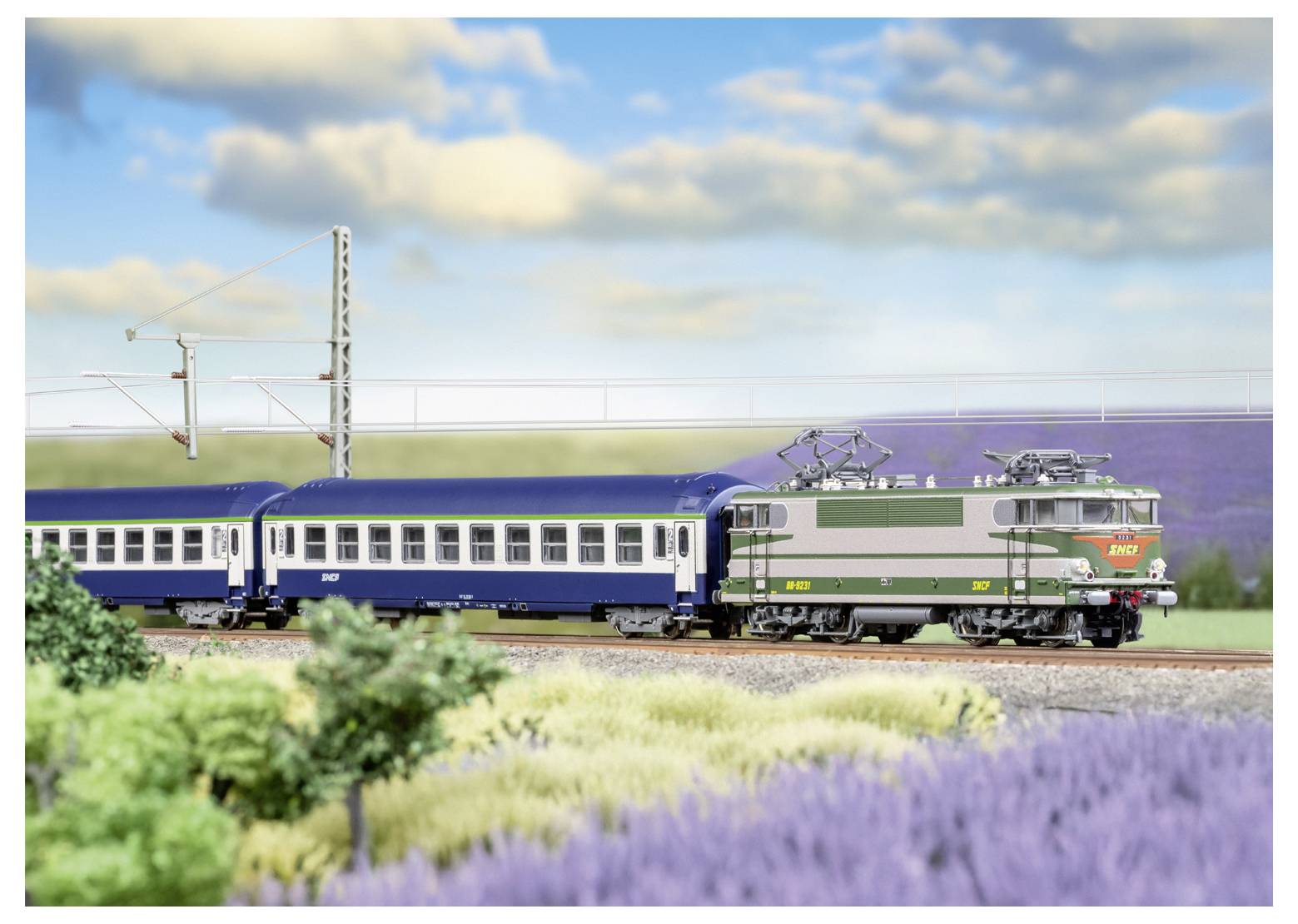 Modellzug mit einer grünen elektrischen Lokomotive, die blaue Personenwagen entlang eines Gleises neben violetten Blumen und unscharfen Bäumen unter einem bewölkten Himmel zieht.