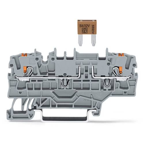 WAGO 2202-1981 Sicherungsklemme 50 St.