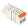 WAGO 2721-1102/326-000 Federleiste 100 St.