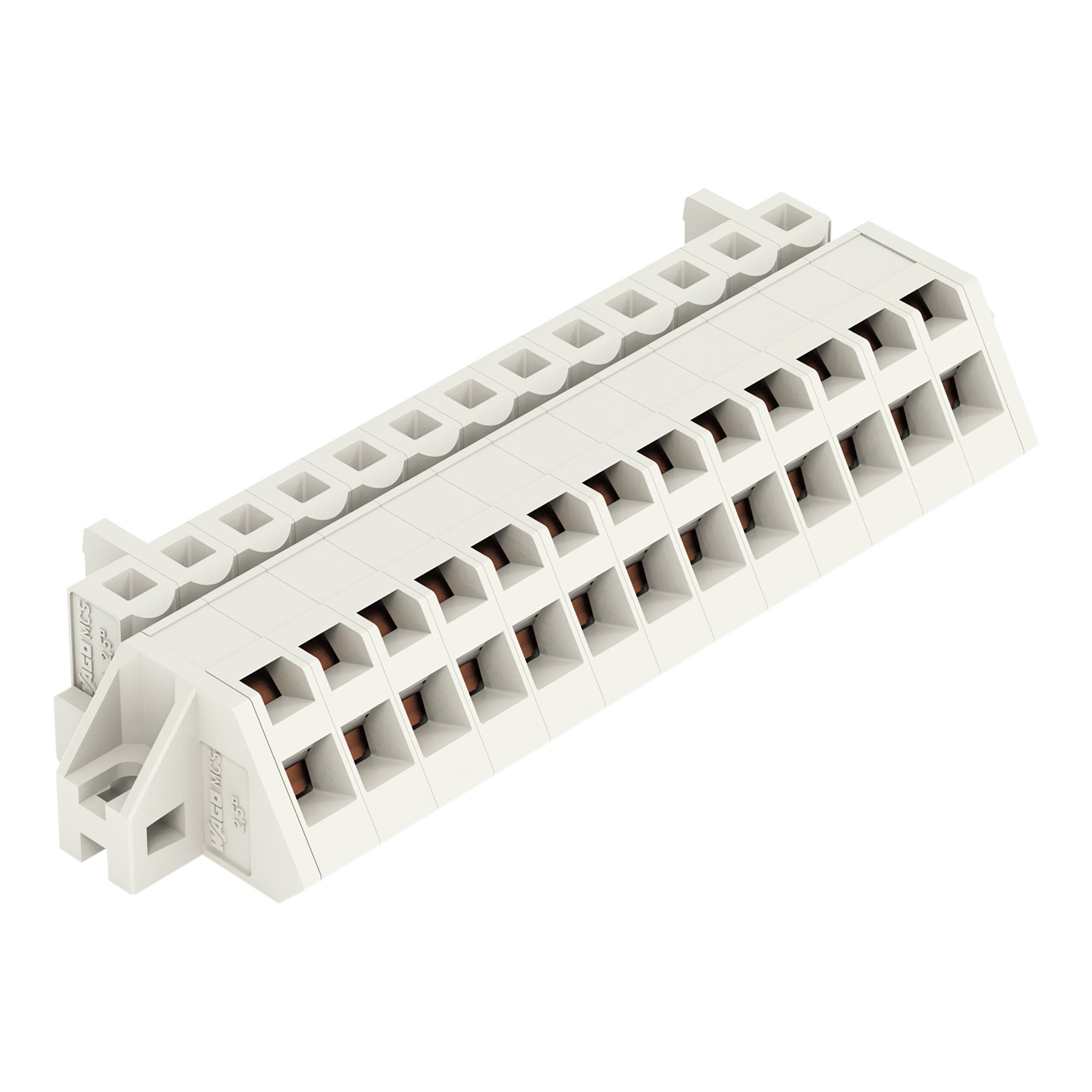 WAGO 721-313/031-000 Federleiste 25 St.