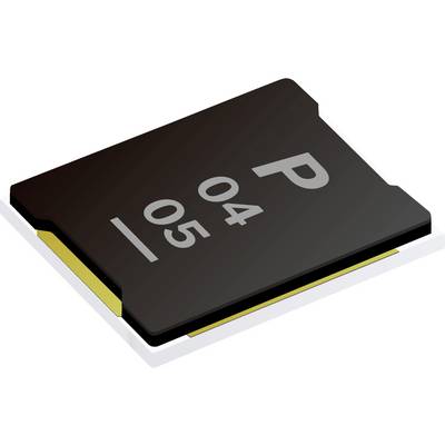 Ein schwarzer Mikrochip mit den Buchstaben „P" und den Zahlen „04" und „05" bedruckt, was auf eine elektronische Komponente oder Kennzeichnung hindeutet.