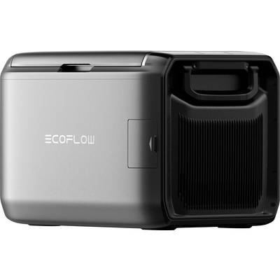 Tragbare Stromstation mit Griff, mit der Bezeichnung „Ecoflow", konzipiert für die Nutzung im Freien oder zur Notstromversorgung.