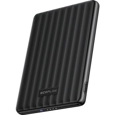 Schwarze EcoFlow tragbare Powerbank mit gerippter Textur, USB-C-Anschluss auf der Seite