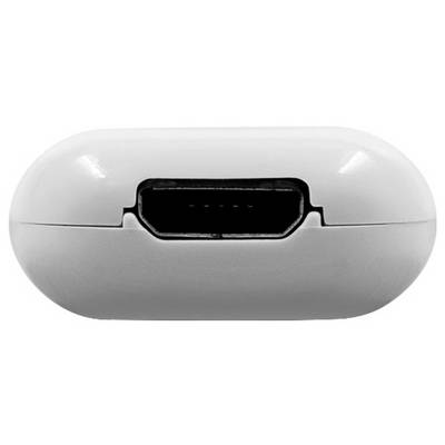 Shelly Shelly The Pill Adapter-3