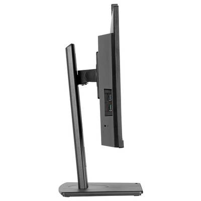 Eine Seitenansicht eines flachen Computermonitors mit schlankem Design, das zwei USB-Anschlüsse an der Seite und einen stabilen Ständer zeigt.