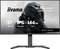 Das Bild zeigt einen Breitbild-Monitor mit der Marke „iiyama G-Master GB2734HSU", auf dem die Logos „27" IPS 144Hz" und „Black Hawk" angezeigt werden.