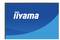 „IIYAMA"-Logo auf blauem Hintergrund mit geschwungenem Design.