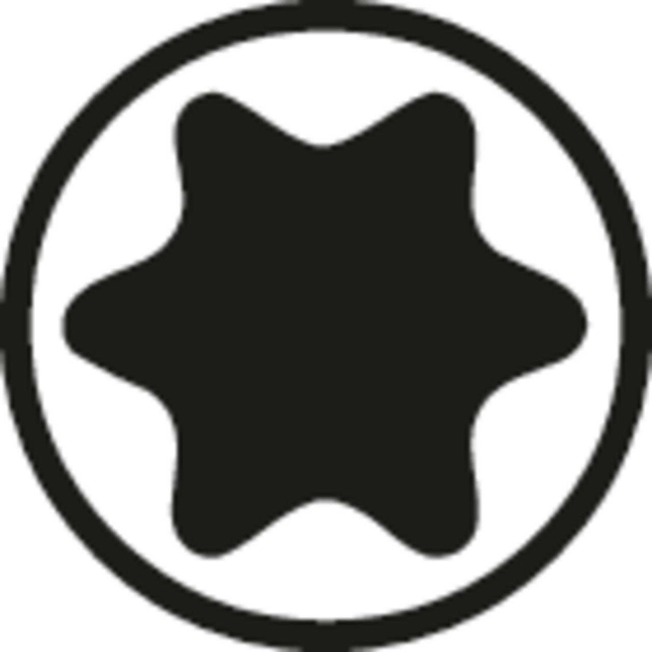 Ein kreisförmiges Symbol mit einer sechszackigen Sternform im Inneren, das einen Torx-Schraubenkopf darstellt.