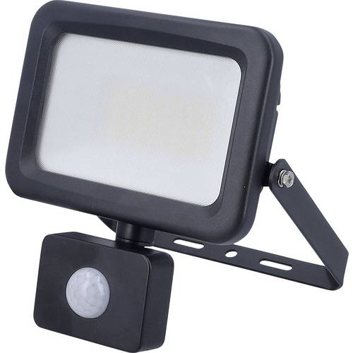 AS Schwabe Optiline 46670 LED-Außenstrahler mit Bewegungsmelder EEK: E (A - G) LED 30 W Schwarz