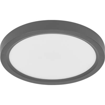 Eine Nahaufnahme einer runden LED-Deckenleuchte mit elegantem schwarzem Rahmen.