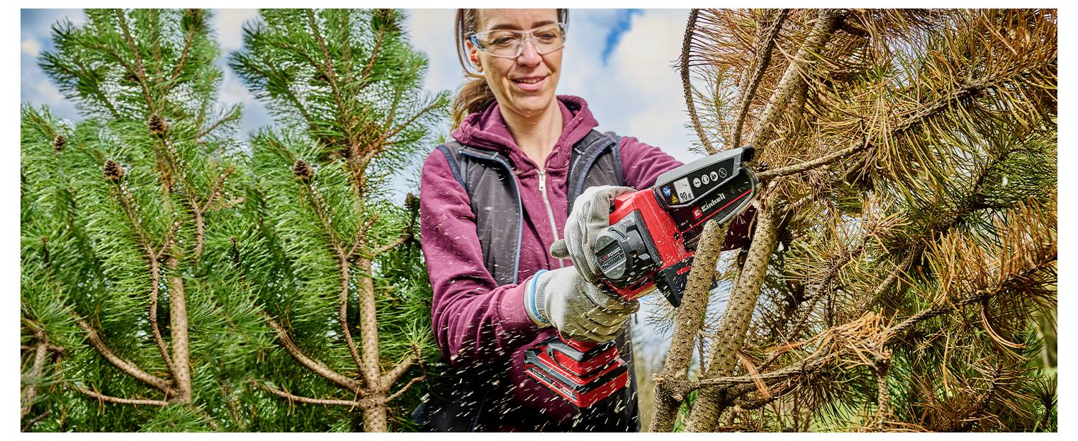 Einhell GE-PS 18/15 Li BL Kit Akku-Astkettensäge Akku Akku-Kettensäge inkl. Akku, inkl. Ladegerät, Softgriff 18 V Schwer-3