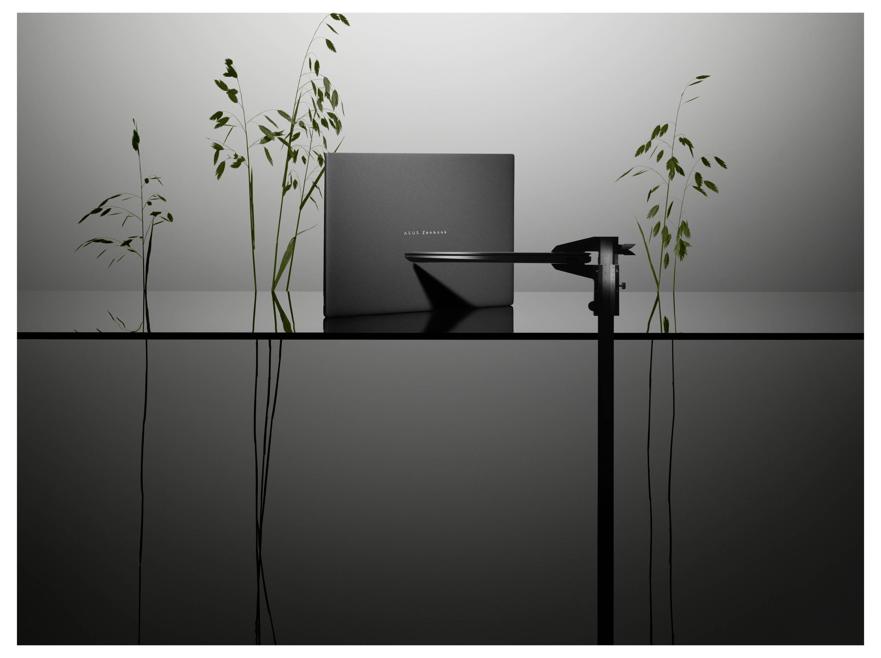 Ein eleganter, dunkler Laptop mit der Aufschrift „ASUS Zenbook" steht auf einer reflektierenden Oberfläche und ist von zarten grünen Blättern vor einem grauen Hintergrund umgeben.
