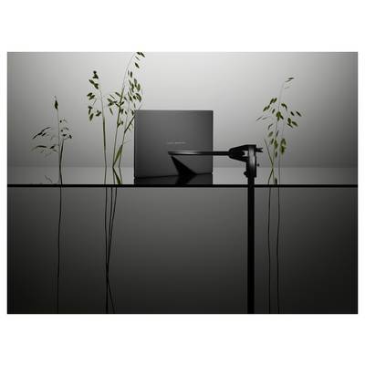 Ein eleganter, dunkler Laptop mit der Aufschrift „ASUS Zenbook" steht auf einer reflektierenden Oberfläche und ist von zarten grünen Blättern vor einem grauen Hintergrund umgeben.