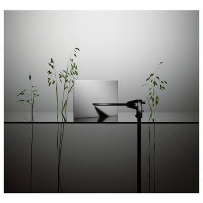 Ein eleganter Laptop auf einer reflektierenden Oberfläche, umgeben von hohen Pflanzen, mit einem mechanischen Arm, der unter weicher Beleuchtung auf den Bildschirm zeigt.