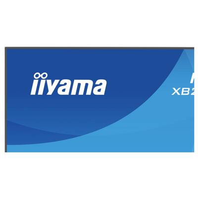 "iiyama"-Logo auf blauem Hintergrund.