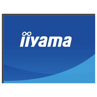 „Iiyama"-Logo auf blauem Hintergrund mit einer hellblauen Kurve am unteren Rand.