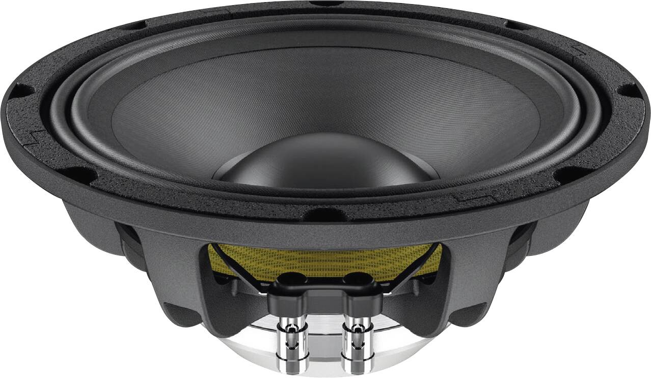 Lavoce WAN103.01 10 Zoll Tieftöner 8 Ω