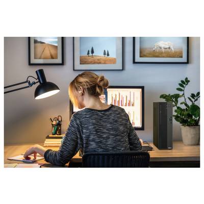 Eine Frau an einem Schreibtisch überprüft Finanzdiagramme auf einem Computerbildschirm, mit Bilderrahmen und einer Lampe im Hintergrund.