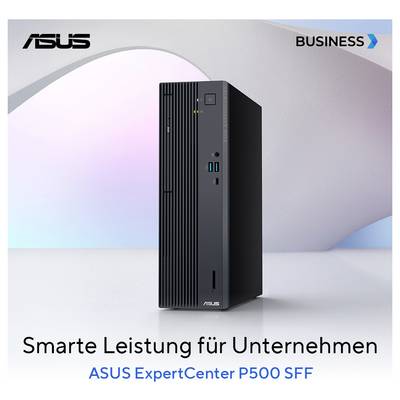 Asus Workstation ExpertCenter P5 C5-210H 16 512 SF 210H 4.8 GHz 16 GB RAM 512 GB SSD Intel Intel-Grafik 90PF05A1-M00M50-29
