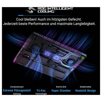 Asus Gaming Notebook G614PW-TS092W 40.6 cm (16 Zoll) WQXGA 8940HX 16 GB RAM 1 TB SSD Deutsch, QWERTZ AMD AMD Radeon NVID-8