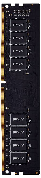 Ein vertikales Computer-RAM-Modul mit acht rechteckigen PNY-Chips, einer schwarzen Leiterplatte und einer Reihe von goldenen Steckerkontakten am unteren Ende.