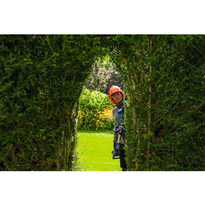 Eine Person in Schutzkleidung, die eine Heckenschere hält, steht in einem Garten und blickt durch eine geschnittene Hecke hindurch.